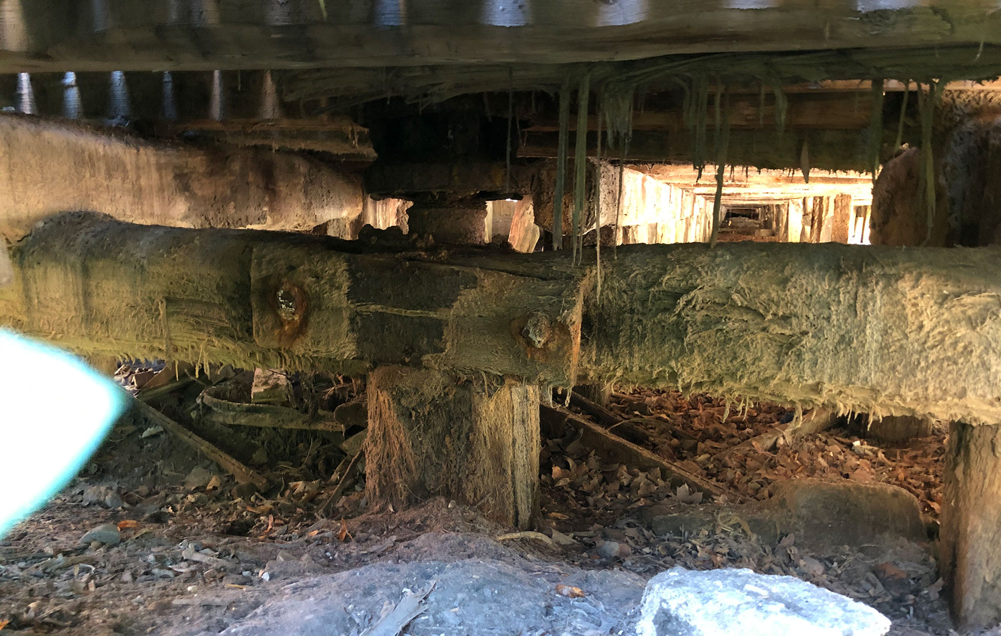 Gradierwerk-Paar im Ort Bad Salzdetfurth